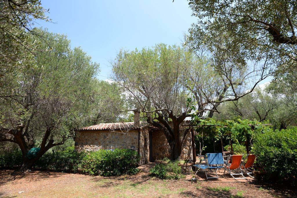 Villino Iolanda Villa Marina di Camerota Exterior photo