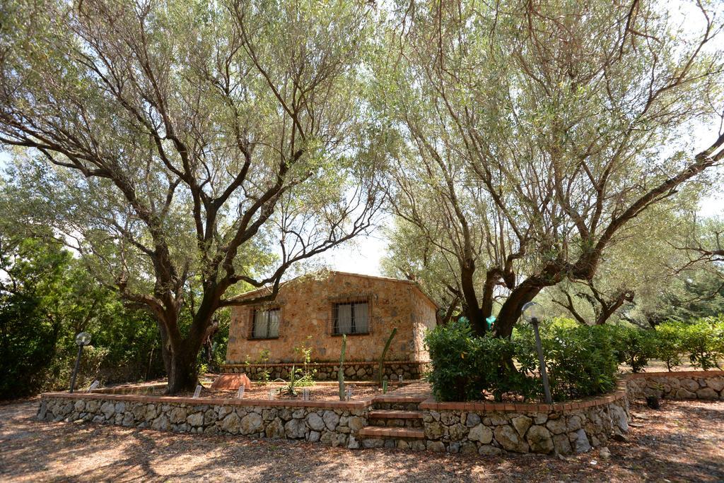 Villino Iolanda Villa Marina di Camerota Exterior photo