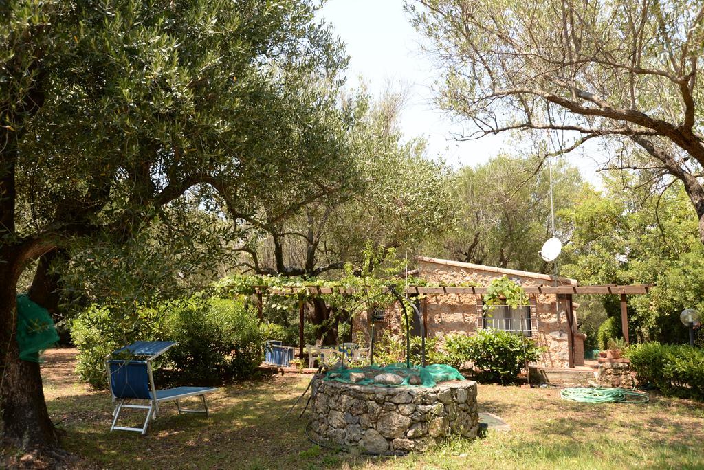 Villino Iolanda Villa Marina di Camerota Exterior photo